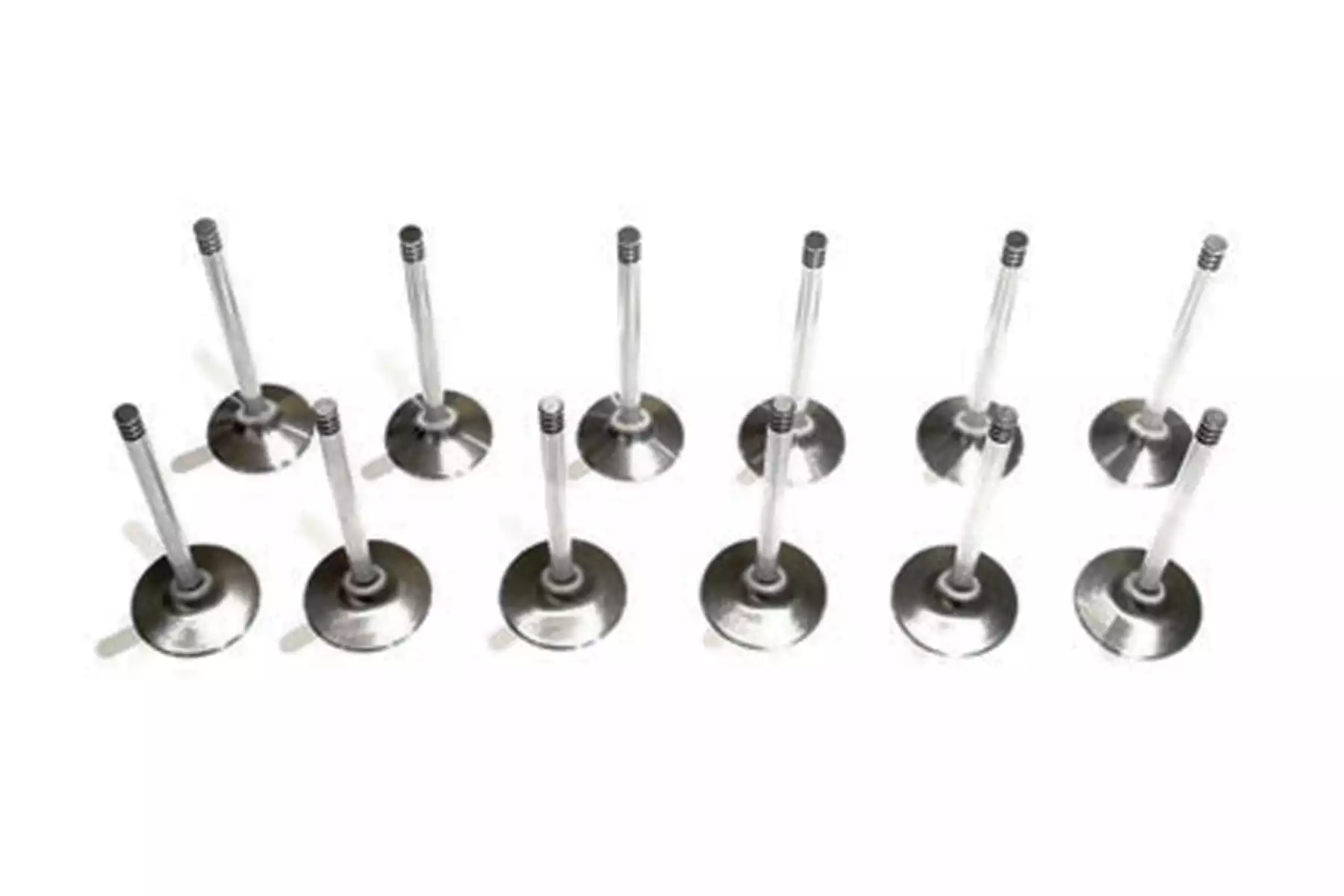 Schrick Sport Ventile passend für BMW S50, S52 M3 E36